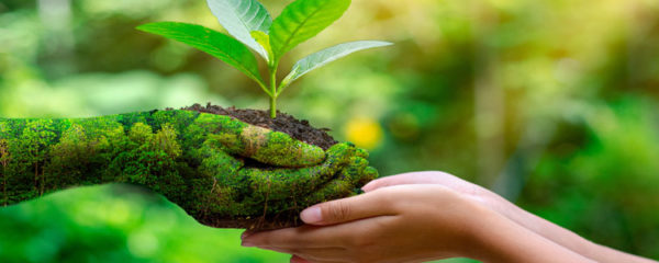 Métier de l'environnement